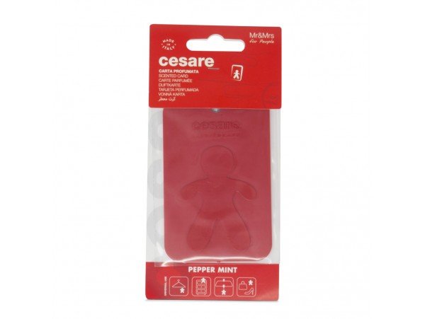 Mr & Mrs Fragrance Cesare Card Peppermint - Image 2